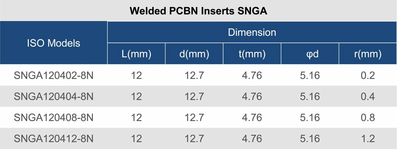 SNGA -11.jpg SNGA -11.jpg